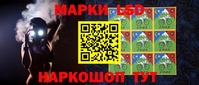 гидропоника Кунгур