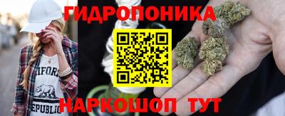 гидропоника Кунгур