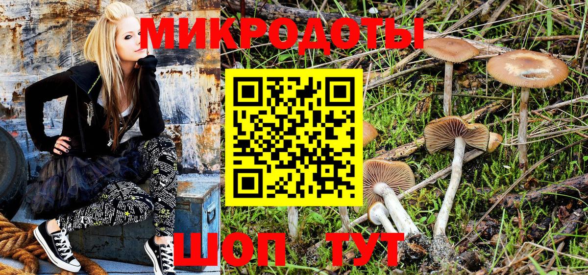 Галлюциногенные грибы MAGIC MUSHROOMS Зерноград