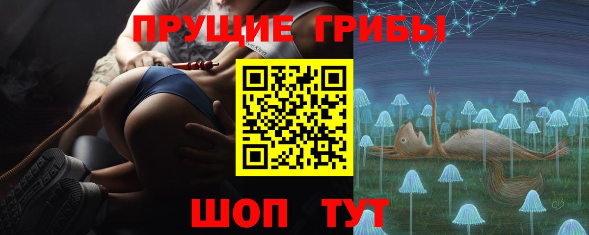 Зерноград  Псилоцибиновые грибы Psilocybe  Галлюциногенные грибы GOLDEN TEACHER  Вход с VPN 